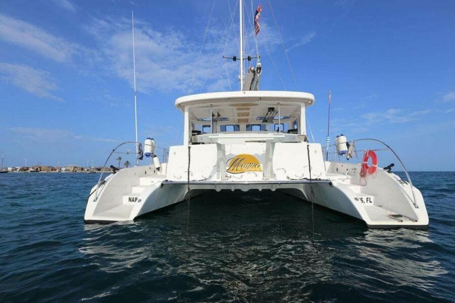2013 Royal Cape Catamarans - Photo 6