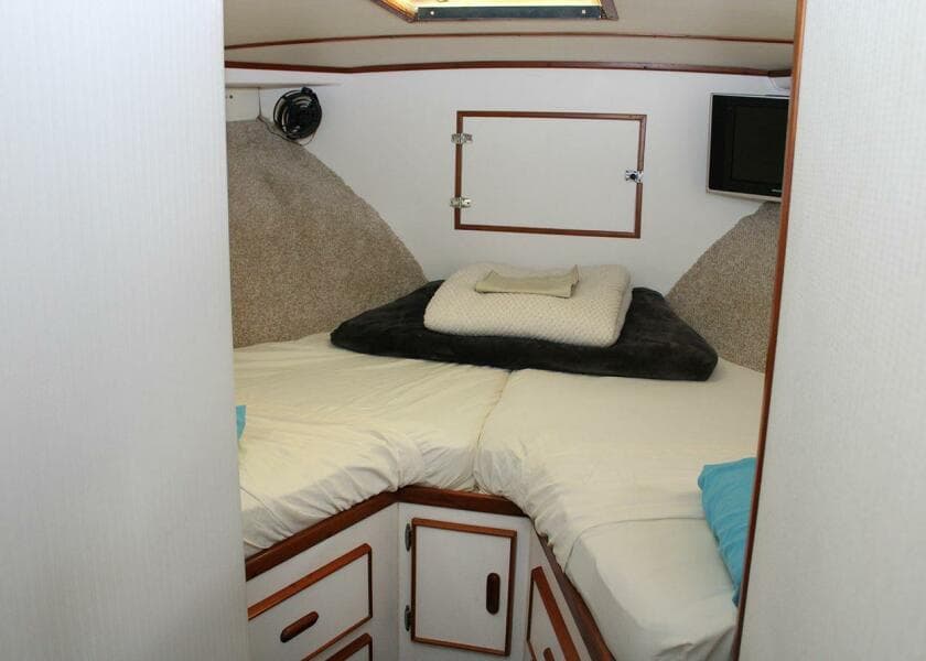 Fwd V Berth