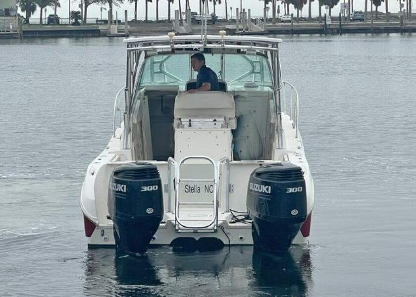 2009 World Cat 290 EC