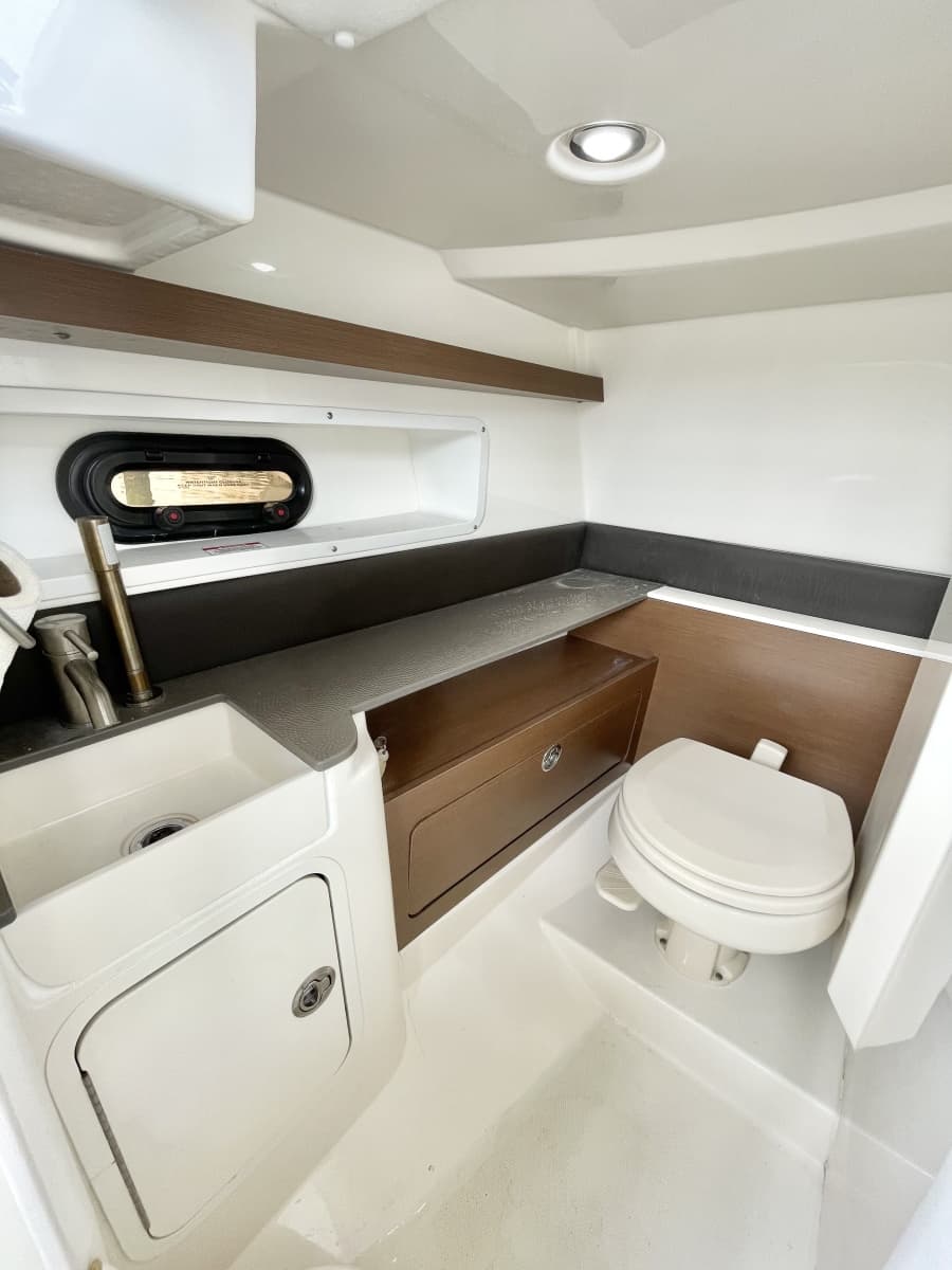 2022 Sea Ray 290 SDX - Photo 14