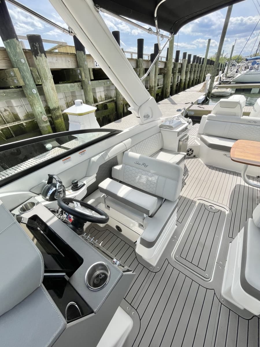 2022 Sea Ray 290 SDX - Photo 10