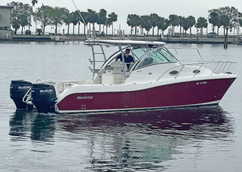 2009 World Cat 290 EC